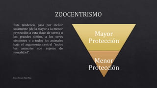 Alvaro Hernan Mejia Mejia
Mayor
Protección
Menor
Protección
 