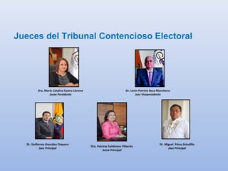 Jueces del Tribunal Contencioso Electoral
Dra. María Catalina Castro Llerena
Jueza Presidenta
Dr. Lenin Patricio Baca Mancheno
Juez Vicepresidente
Dr. Guillermo González Orquera
Juez Principal
Dra. Patricia Zambrano Villacrés
Jueza Principal
Dr. Miguel Pérez Astudillo
Juez Principal
 