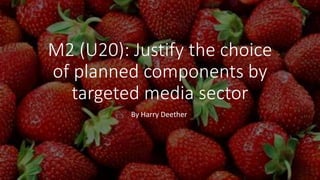 M2 (U20): Justify the choice
of planned components by
targeted media sector
By Harry Deether
 