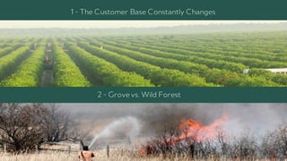 1 - The Customer Base Constantly Changes
2 - Grovevs. Wild Forest
 
