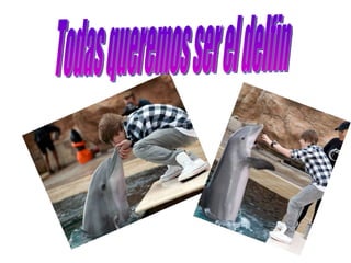 Todas queremos ser el delfin 