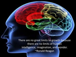 There are no great limits to growth because
there are no limits of human
intelligence, imagination, and wonder.
~Ronald Reagan
 