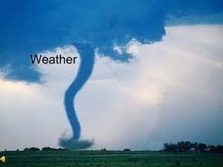Weather