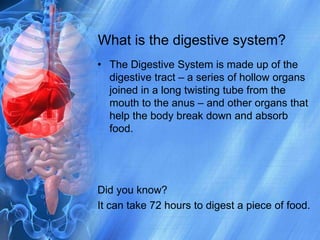 What is the digestive system?The Digestive System is made up of the digestive tract – a series of hollow organs joined in a long twisting tube from the mouth to the anus – and other organs that help the body break down and absorb food.   Did you know?It can take 72 hours to digest a piece of food.