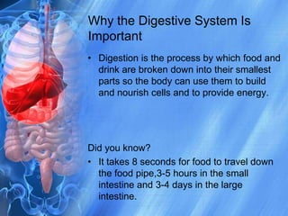 Why the Digestive System Is ImportantDigestion is the process by which food and drink are broken down into their smallest parts so the body can use them to build and nourish cells and to provide energy.Did you know?It takes 8 seconds for food to travel down the food pipe,3-5 hours in the small intestine and 3-4 days in the large intestine.