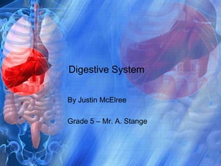 Digestive System By Justin McElree Grade 5 – Mr. A. Stange 