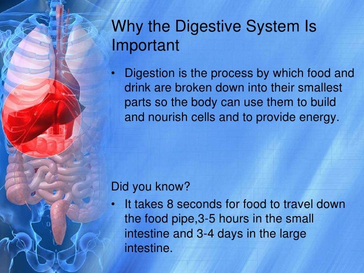 Digest