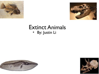 • By: Justin Li
Extinct Animals
 