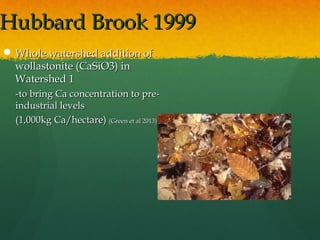 HHuubbbbaarrdd BBrrooookk 11999999 
WWhhoollee wwaatteerrsshheedd aaddddiittiioonn ooff 
wwoollllaassttoonniittee ((CCaaS...