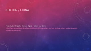 COTTON / CHINA
Forced Labor Imports – Human Rights – Cotton and China -
https://www.theglobeandmail.com/politics/article-canadians-can-buy-xinjiang-cotton-products-despite-
ottawas-vow-to-stop/
 