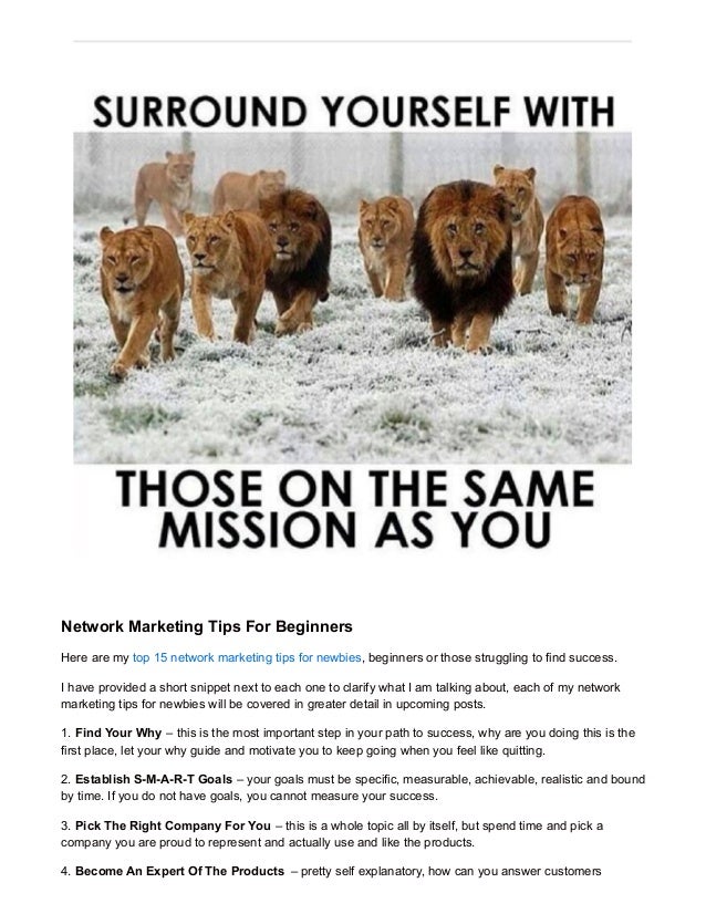 Top 15 Network Marketing Tips For Beginners