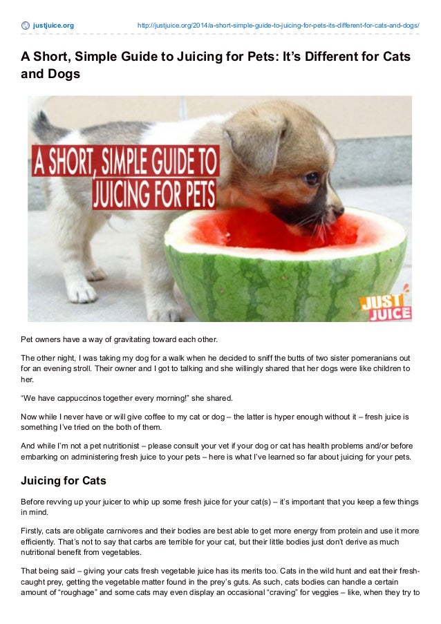 How to Juice for Pets