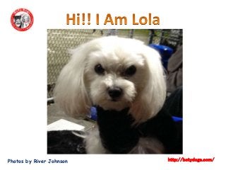 Photos by River Johnson http://botydogs.com/