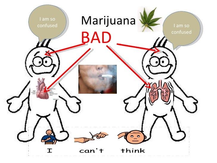 say absolutely no in order to medical marijuana legalization essay say absolutely no to dope legalization essay