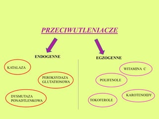 PRZECIWUTLENIACZE 
ENDOGENNE EGZOGENNE 
KATALAZA WITAMINA C 
PEROKSYDAZA 
GLUTATIONOWA 
DYSMUTAZA 
PONADTLENKOWA 
POLIFENOLE 
KAROTENOIDY 
TOKOFEROLE 
 