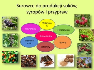 Surowce do produkcji soków, 
syropów i przypraw 
Witamina 
C 
Flawonoidy Fenolokwasy 
Antocyjaniny 
Lignany 
witamina 
A i E 
katechiny 
 