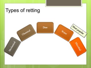Types of retting
Dew
 