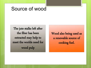 Source of wood
The jute stalks left after
the fiber has been
extracted may help to
meet the worlds need for
wood pulp
Wood also being used as
a renewable source of
cooking fuel.
 