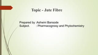Topic - Jute Fibre
Prepared by :Ashwini Bansode
Subject. : Pharmacognosy and Phytochemistry
 