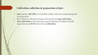 Cultivation, collection & preparation of jute :
• Jute requires 160–200 cm of rainfall weekly with extra needed during the
sowing period.
• River basins or alluvial or loamy soils are best for jute cultivation.
• Jute cultivation in red soils may require high dose of manure and pH
range between 4.8-5.8 is best for its cultivation
 