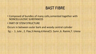 BAST FIBRE
• Composed of bundles of many cells,cemented together with
NONCELLULOSIC SUBSTANCES
• PART OF STEM STRUCTURE
Occurs in between outer bark and woody central cylinder
Eg :- 1. Jute , 2. Flax,3.Hemp,4.Kenaf,5. Sunn ,6. Ramie,7. Urena
 
