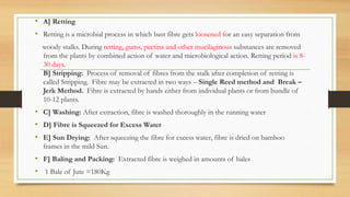 • A] Retting
• Retting is a microbial process in which bast fibre gets loosened for an easy separation from
woody stalks. During retting, gums, pectins and other mucilaginous substances are removed
from the plants by combined action of water and microbiological action. Retting period is 8-
30 days.
B] Stripping: Process of removal of fibres from the stalk after completion of retting is
called Stripping. Fibre may be extracted in two ways – Single Reed method and Break –
Jerk Method. Fibre is extracted by hands either from individual plants or from bundle of
10-12 plants.
• C] Washing: After extraction, fibre is washed thoroughly in the running water
• D] Fibre is Squeezed for Excess Water
• E] Sun Drying: After squeezing the fibre for excess water, fibre is dried on bamboo
frames in the mild Sun.
• F] Baling and Packing: Extracted fibre is weighed in amounts of bales
• 1 Bale of Jute =180Kg
 