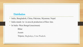 Distribution
• India, Bangladesh, China, Pakistan, Myanmar, Nepal.
• India stands 1st in area & production of Raw Jute.
• In India -West Bengal (maximum)
Bihar
Assam
Tripura, Meghalaya, Uttar Pradesh.
 