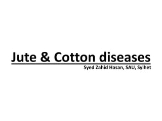 Jute & Cotton diseasesSyed Zahid Hasan, SAU, Sylhet
 