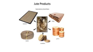 Jute Products
 