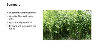 Summary
• Important economical fiber.
• Versatile fiber with many
uses.
• Agriculturally beneficial.
• Demand will increase in the
future
 