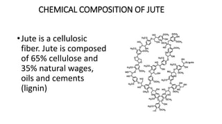 CHEMICAL COMPOSITION OF JUTE
•Jute is a cellulosic
fiber. Jute is composed
of 65% cellulose and
35% natural wages,
oils and cements
(lignin)
 