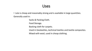 Uses
• Jute is cheap and reasonably strong and is available in large quantities.
Generally used in:
Sacks & Packing Cloth.
Food Storage.
Backing cloth for carpets.
Used in Geotextiles, technical textiles and textile composites.
Mixed with wool, used in cheap clothing.
 