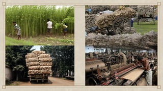 JUTE INDUSTRY in india industrial exposure | PDF
