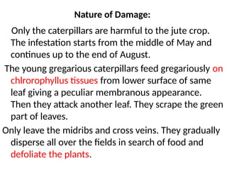 Jute Insects Jute insect, the insect which attack jute plant.pptx
