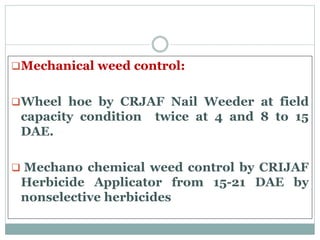 Jute Prodn Technology R K DE 2015.ppt