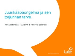 © Luonnonvarakeskus
Juurikääpäongelma ja sen
torjunnan tarve
Jarkko Hantula, Tuula Piri & Annikka Selander
 