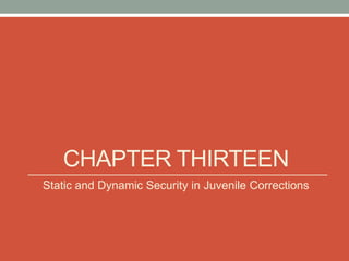 CHAPTER THIRTEEN
Static and Dynamic Security in Juvenile Corrections
 