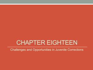 CHAPTER EIGHTEEN
Challenges and Opportunities in Juvenile Corrections
 