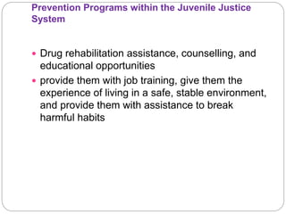 Prevention Programs within the Juvenile Justice
System
 Drug rehabilitation assistance, counselling, and
educational opportunities
 provide them with job training, give them the
experience of living in a safe, stable environment,
and provide them with assistance to break
harmful habits
 