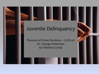 Juvenile Delinquency
Theories of Crime Deviance – CJUS 411
Dr. George Ackerman
by Tabatha Crump
 