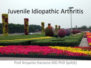 Juvenile Idiopathic Arthritis
Prof Ariyanto Harsono MD PhD SpA(K)
 