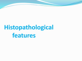 Histopathological
features
 