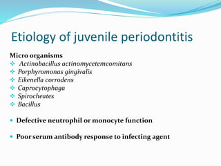Etiology of juvenile periodontitis
Micro organisms
 Actinobacillus actinomycetemcomitans
 Porphyromonas gingivalis
 Eikenella corrodens
 Caprocytophaga
 Spirocheates
 Bacillus
 Defective neutrophil or monocyte function
 Poor serum antibody response to infecting agent
 