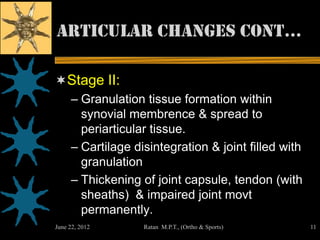 Articular changes cont…

Stage II:
     – Granulation tissue formation within
       synovial membrence & spread to
       periarticular tissue.
     – Cartilage disintegration & joint filled with
       granulation
     – Thickening of joint capsule, tendon (with
       sheaths) & impaired joint movt
       permanently.
June 22, 2012      Ratan M.P.T., (Ortho & Sports)     11
 
