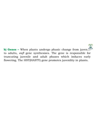 Juvenility and flower bud differentiation