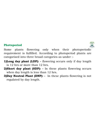 Juvenility and flower bud differentiation