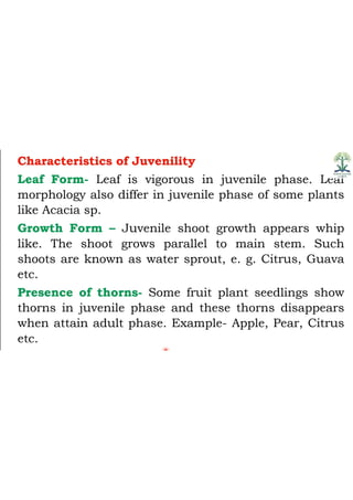 Juvenility and flower bud differentiation