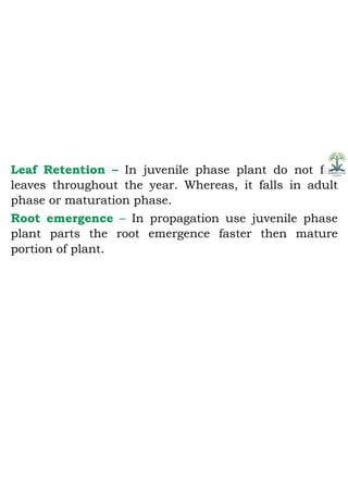 Juvenility and flower bud differentiation