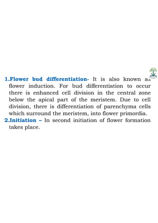 Juvenility and flower bud differentiation