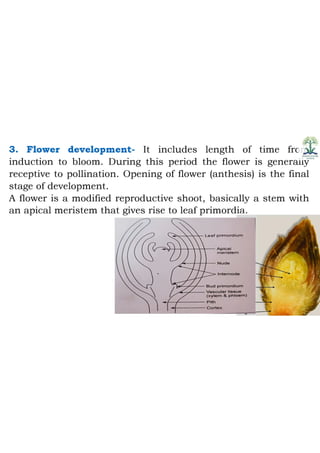 Juvenility and flower bud differentiation